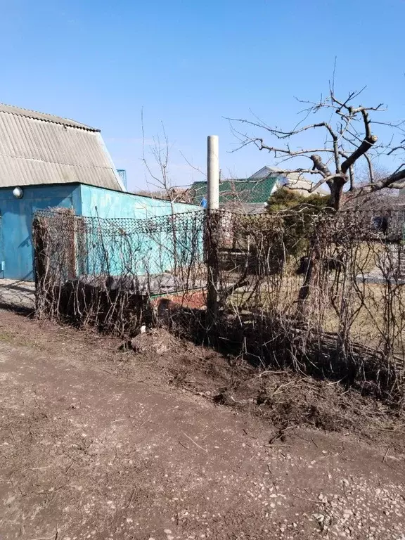 Участок в Саратовская область, Энгельсский район, Красноярское ... - Фото 2