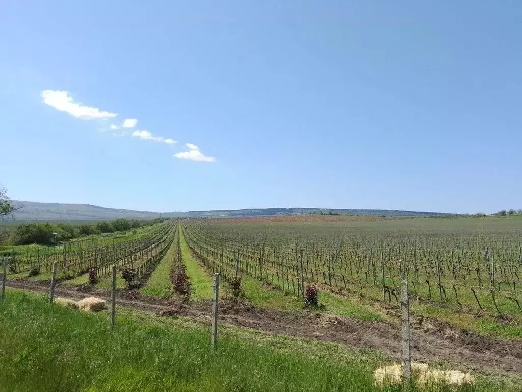 Участок в Севастополь, Севастополь, Балаклава г. ул. Василия Жукова ... - Фото 1
