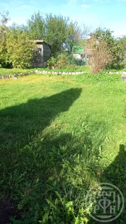 Участок в Ленинградская область, Ломоносовский район, Лебяженское ... - Фото 1