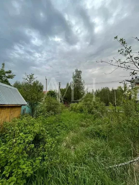 Участок в Московская область, Пушкинский городской округ, пос. Доброе  ... - Фото 1