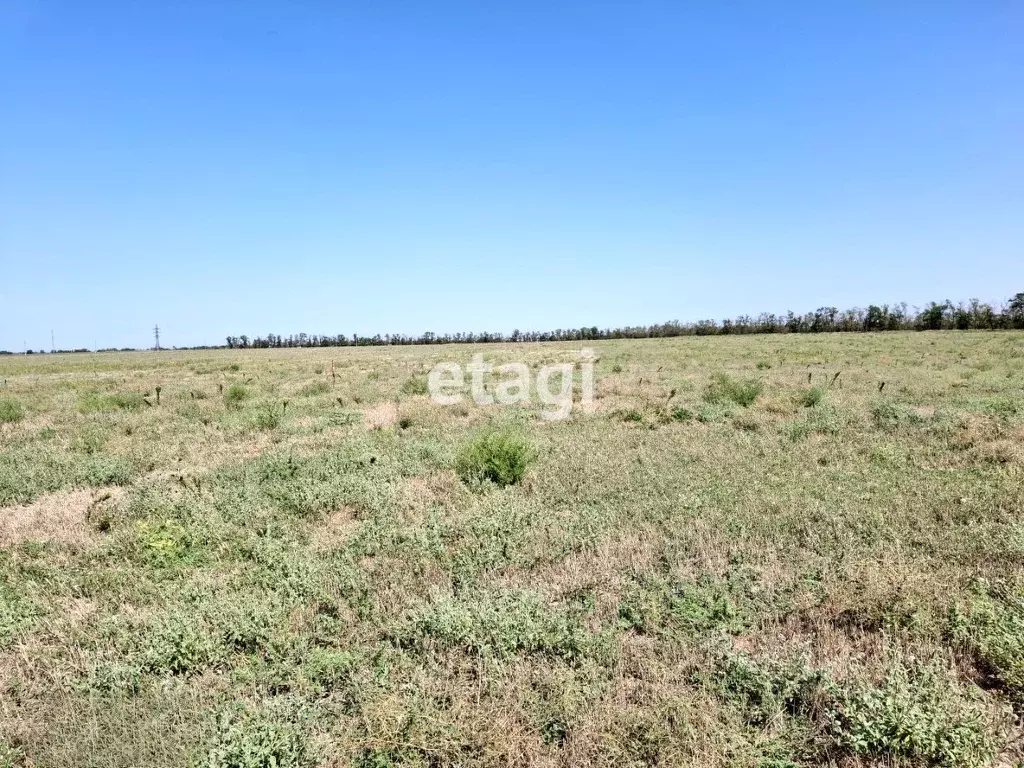 Участок в Краснодарский край, Ейский район, с. Кухаривка  (7.2 сот.) - Фото 2