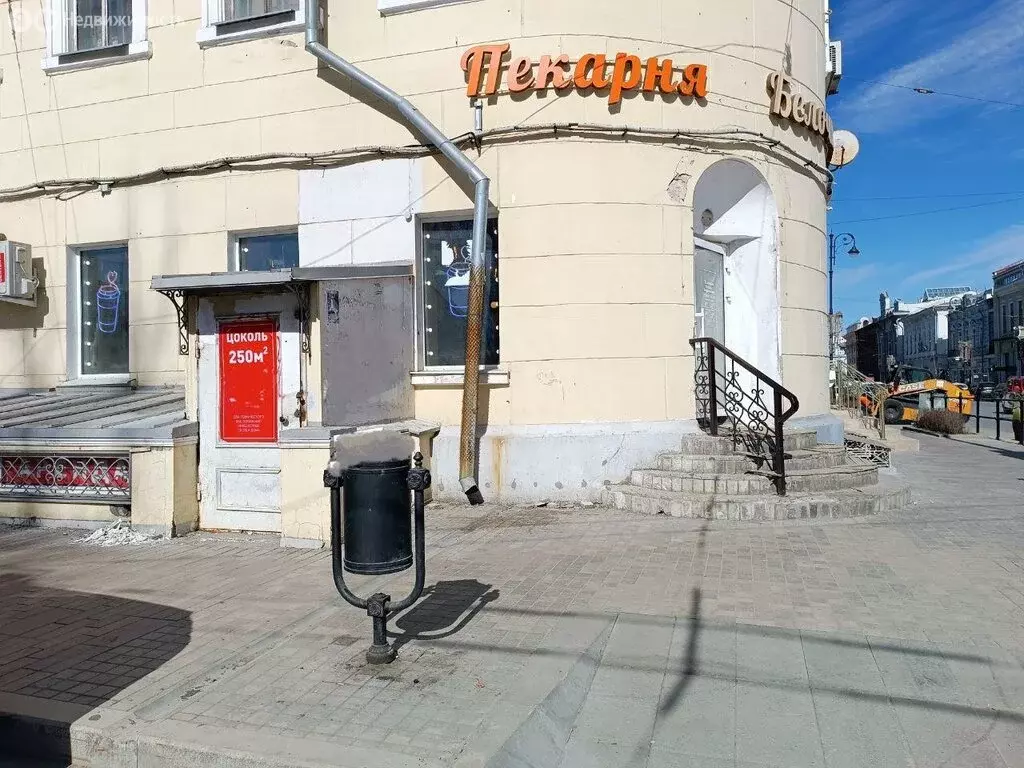 Помещение свободного назначения (250 м) - Фото 1
