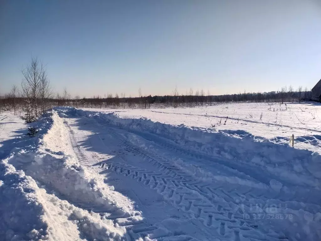 Участок в Московская область, Истра муниципальный округ, д. Ябедино  ... - Фото 2