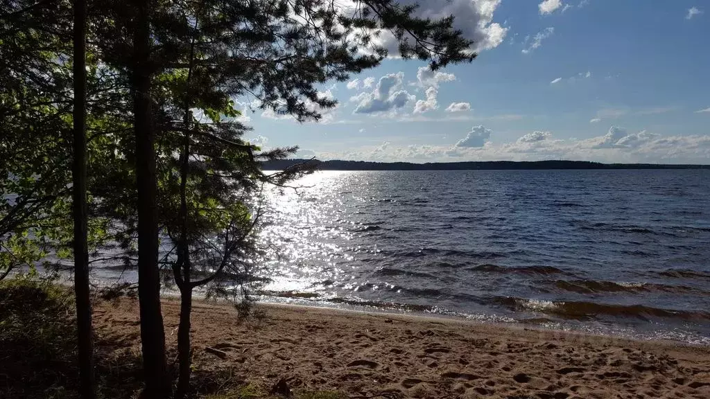 Дом в Новгородская область, Демянск пгт ул. Набережная, 17 (36 м) - Фото 0