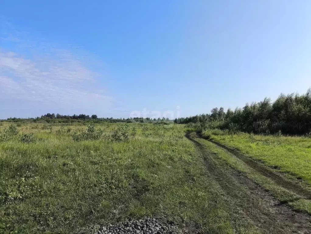 участок в челябинская область, красноармейский район, баландинское . - Фото 0