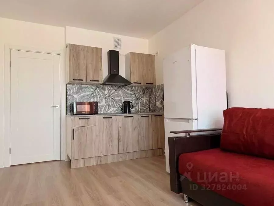 Студия Санкт-Петербург ул. Пахомовская, 12к2 (21.0 м) - Фото 1