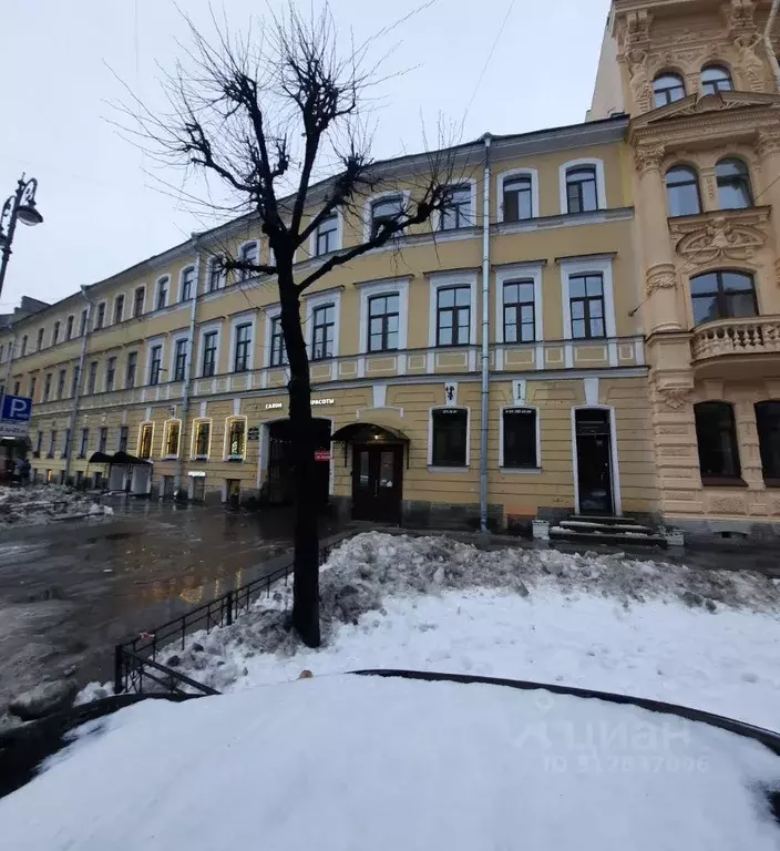 Помещение свободного назначения в Санкт-Петербург ул. Чайковского, ... - Фото 1