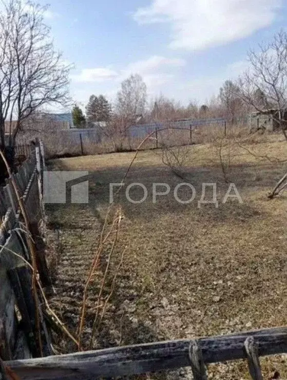 Участок в Новосибирская область, Новосибирск Сибиряк Пашинский СТ, 250 ... - Фото 0