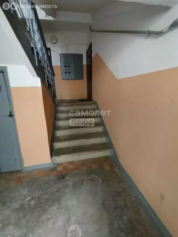 3-комнатная квартира: посёлок Сосновый, 2 (59.2 м) - Фото 2