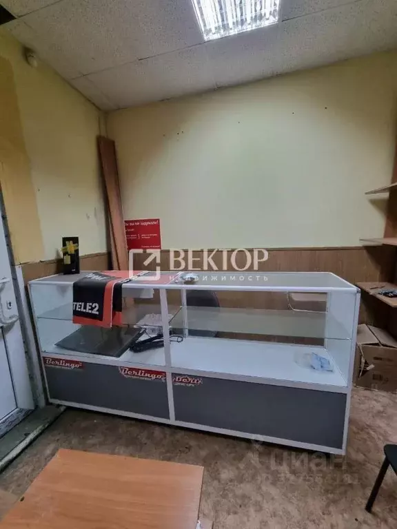 Торговая площадь в Ивановская область, Иваново Лежневская ул., 173А ... - Фото 2