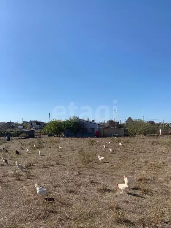 Участок в Крым, Сакский район, Штормовское с/пос, с. Крыловка ул. ... - Фото 1