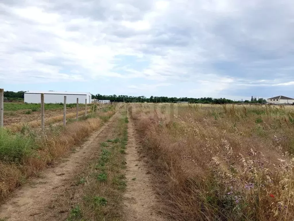 Участок в Краснодарский край, Темрюкский район, Вышестеблиевское ... - Фото 2