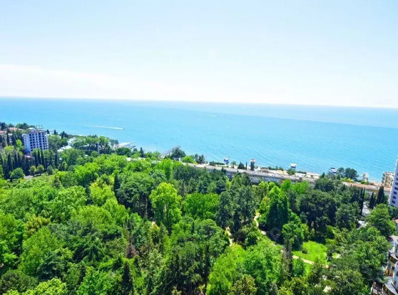 3-к кв. Краснодарский край, Сочи Светлана мкр, просп. Пушкина, 6 (90.0 ... - Фото 2