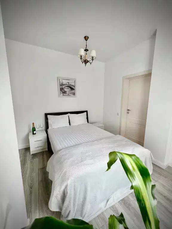 2-к кв. Краснодарский край, Сочи ул. Удачи, 14 (45.0 м) - Фото 1