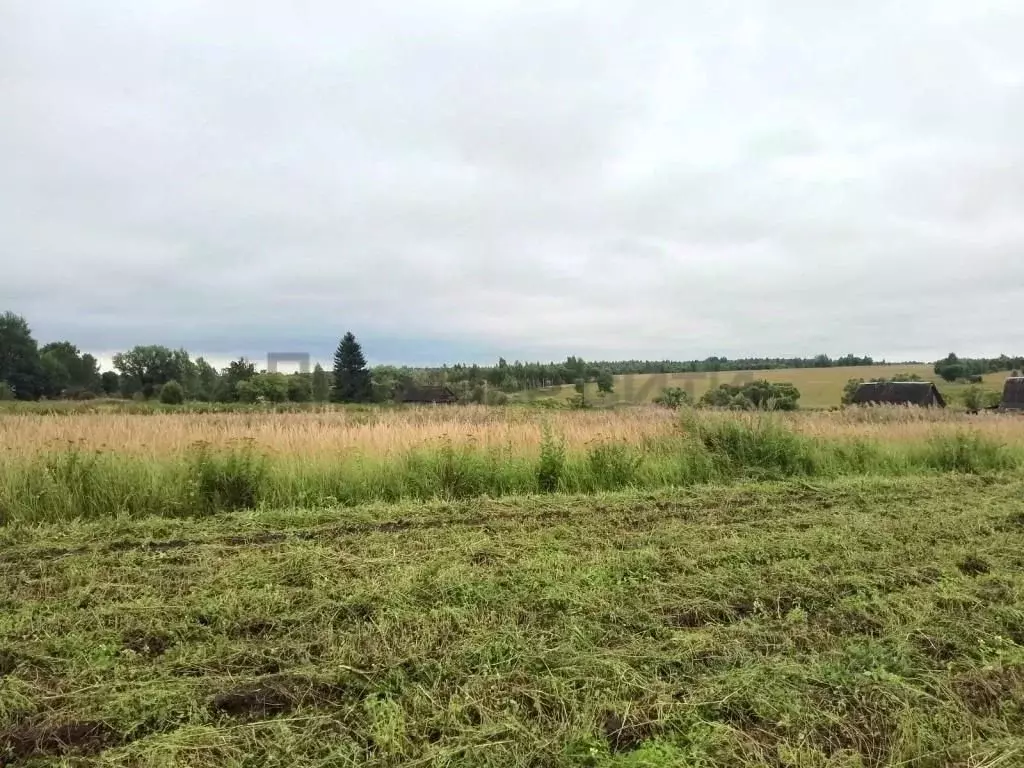 Участок в Калужская область, Бабынинский район, Сабуровщино с/пос, д. ... - Фото 0