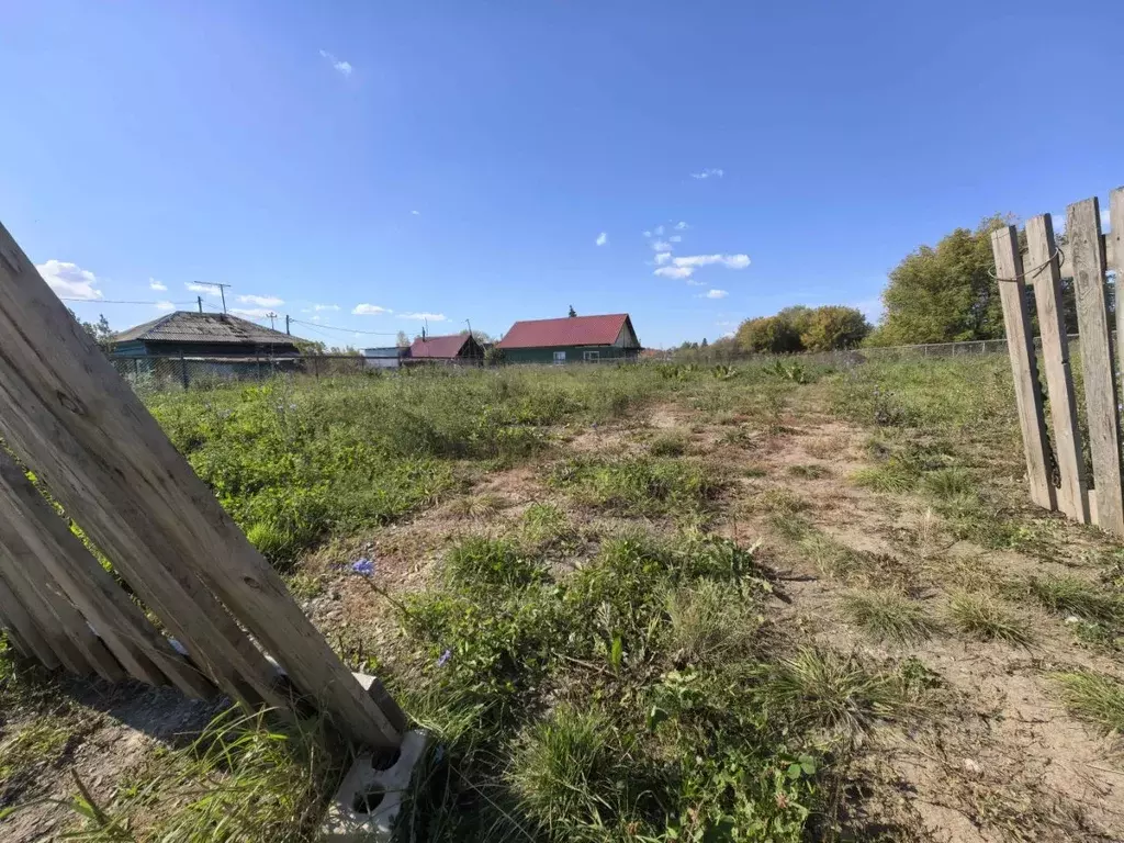 Участок в Алтайский край, Барнаул городской округ, с. Лебяжье ул. ... - Фото 2