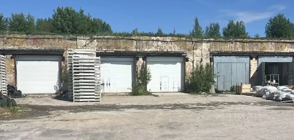 Производственное помещение в Ленинградская область, Всеволожский ... - Фото 2