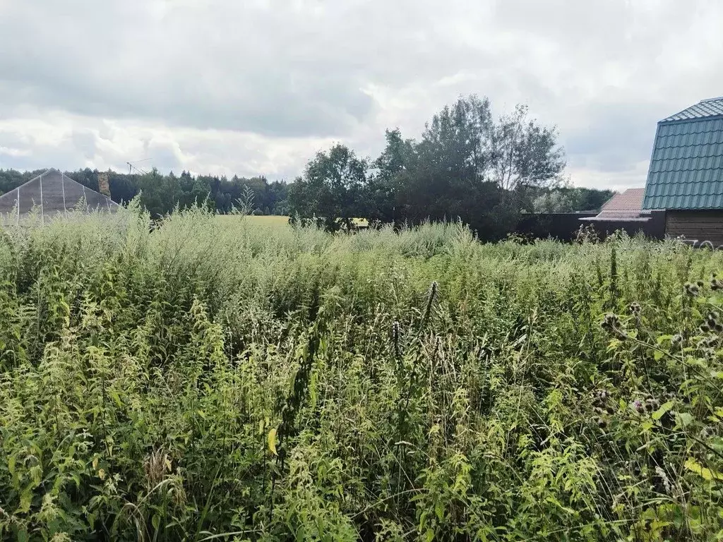 Участок в Калужская область, Жуковский район, Истье с/пос, д. Большое ... - Фото 2