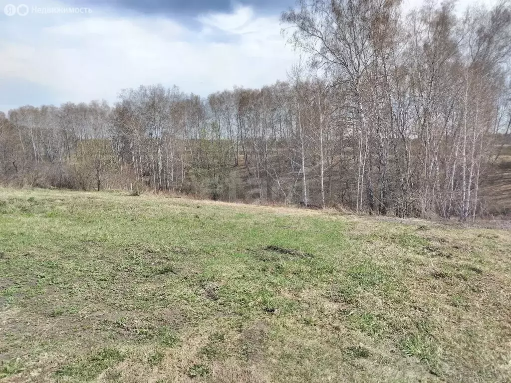 Участок в Бердск, СНТ Марьин Лог, 38-я улица (7.7 м) - Фото 2