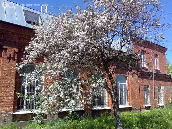 Помещение свободного назначения (430 м) - Фото 2