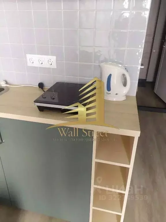 Студия Новосибирская область, Новосибирск Обская ул., 46/2 (17.0 м) - Фото 2