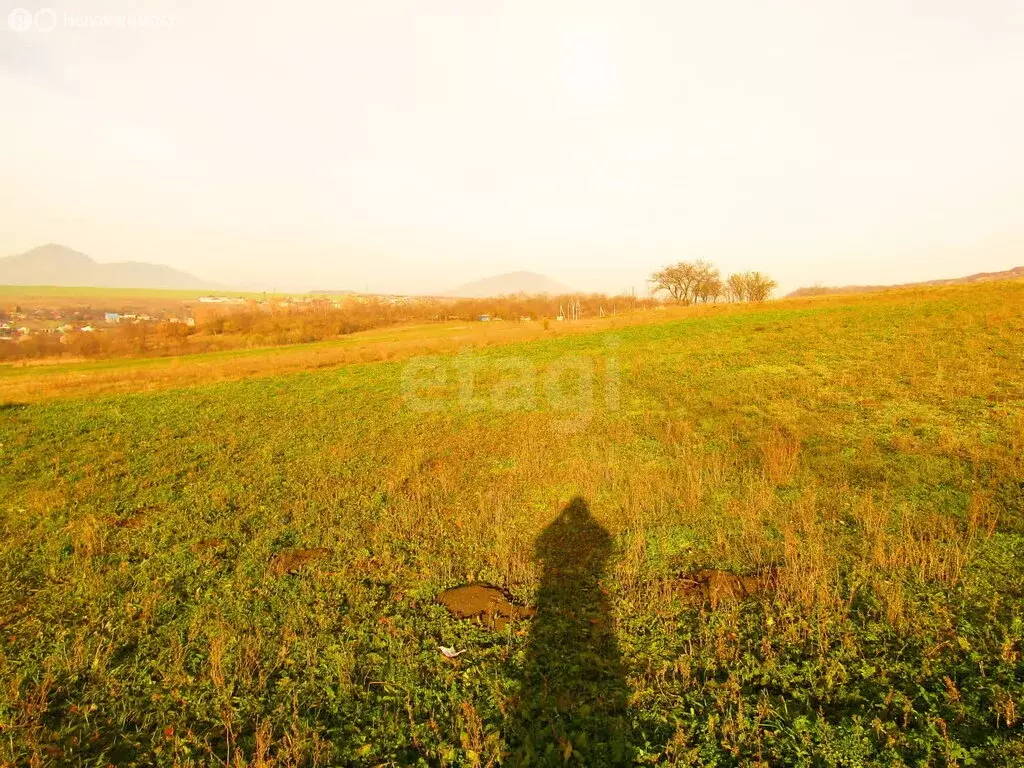 Участок в Ставропольский край, Предгорный муниципальный округ, село ... - Фото 1
