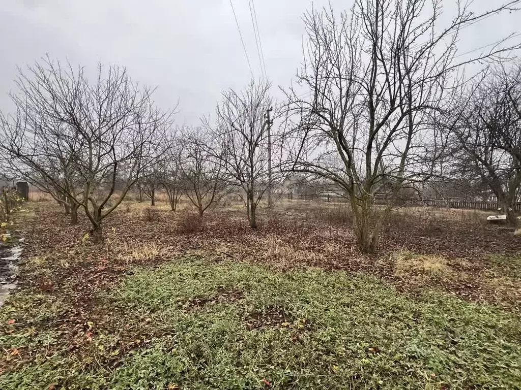Участок в Воронежская область, Семилукский район, с. Перлевка Терновая ... - Фото 1