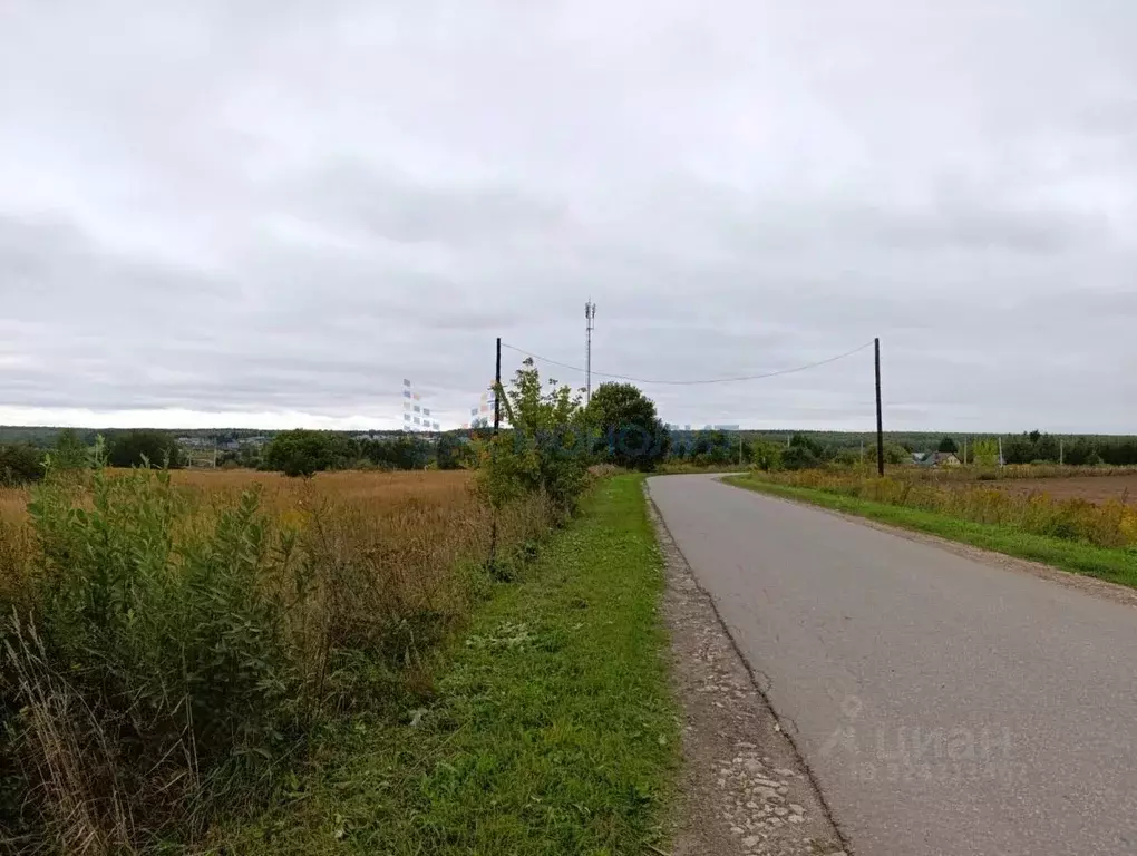 Участок в Нижегородская область, Богородский муниципальный округ, д. ... - Фото 1
