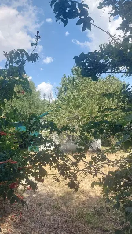 Дом в Ставропольский край, Новоалександровский муниципальный округ, ... - Фото 2