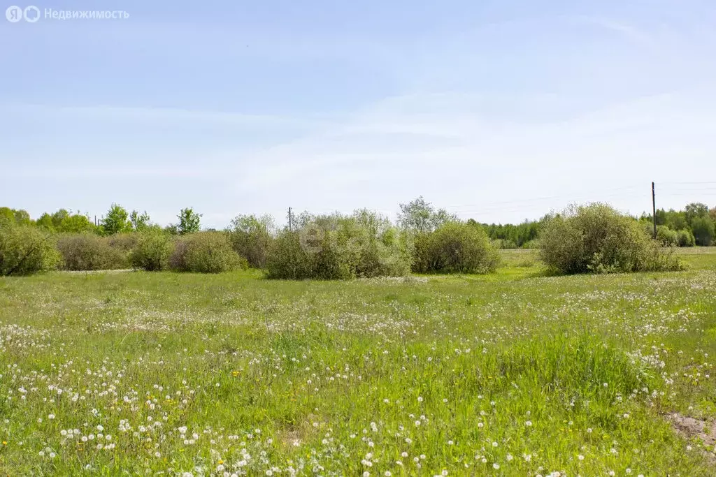 Участок в Тюменская область, Тобольский муниципальный округ, ... - Фото 2