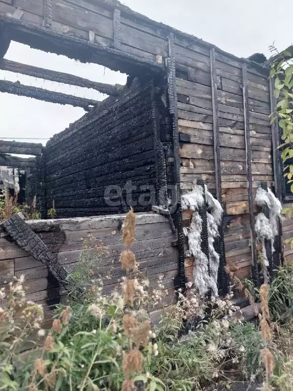 Участок в Свердловская область, Нижний Тагил Ольховская ул. (15.0 ... - Фото 1