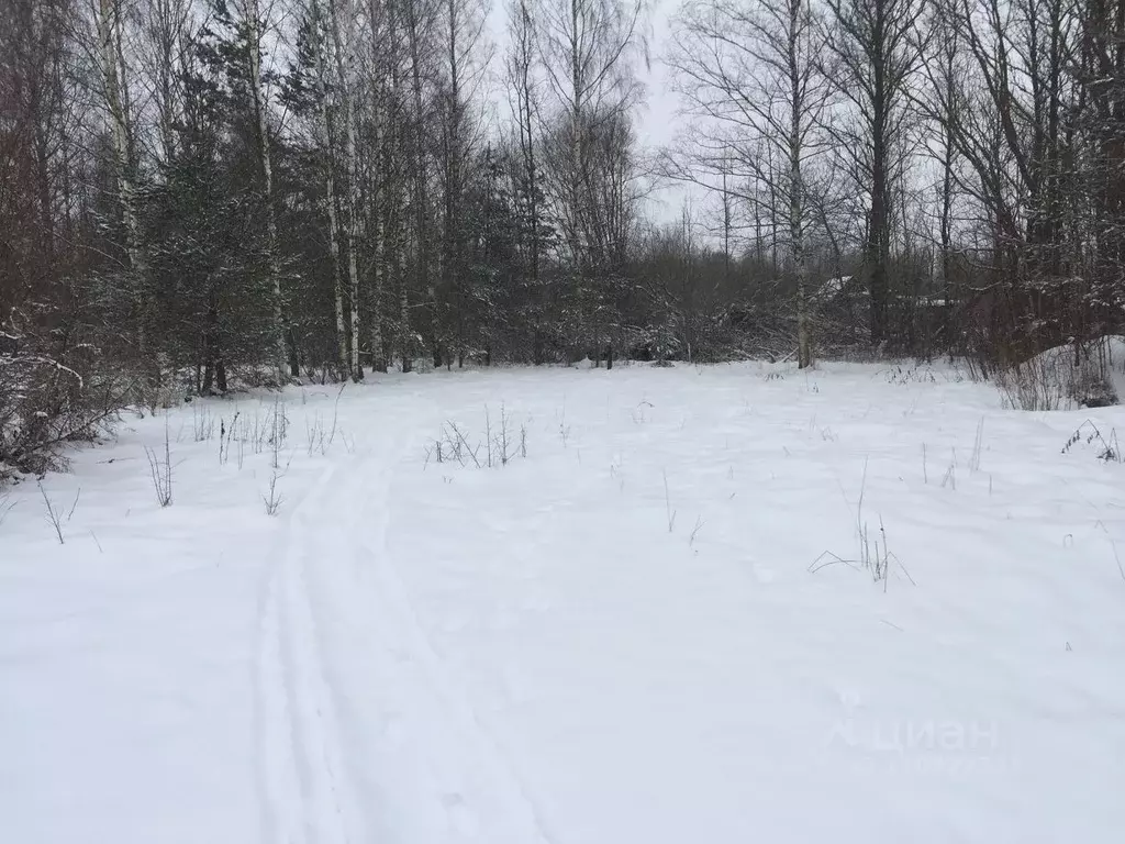 Участок в Псковская область, Псковский район, д. Бабаево  (11.0 сот.) - Фото 1