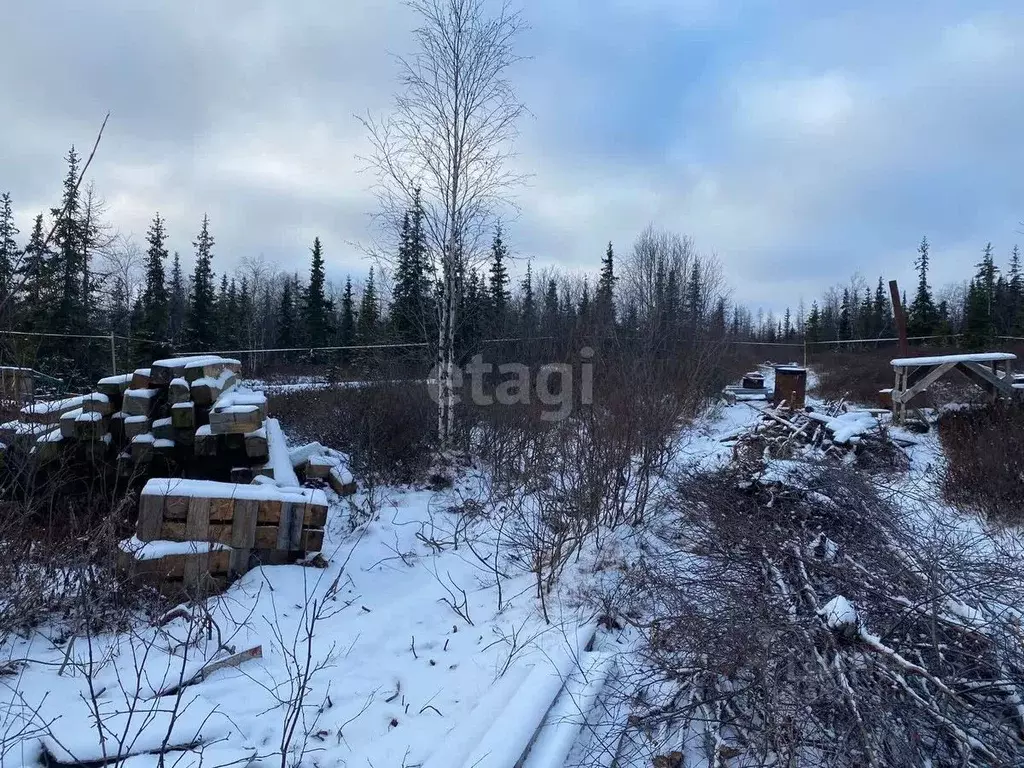 Дом в Ямало-Ненецкий АО, Приуральский район, с. Аксарка ул. Обская (60 ... - Фото 1