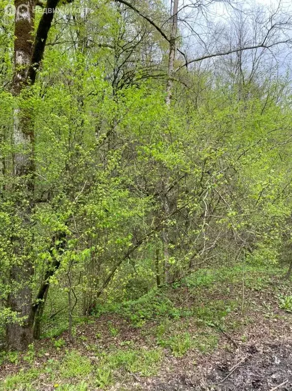 Участок в село Казачий Брод, Краснофлотская улица (3200 м) - Фото 1
