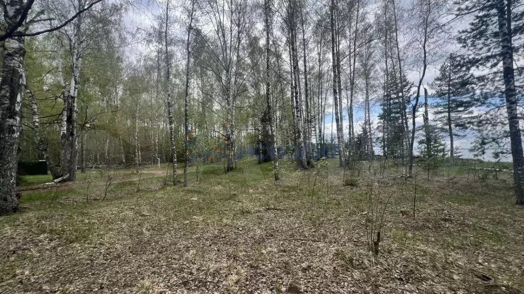 Участок 10 га (ИЖС) - Фото 1