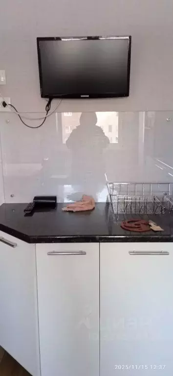 3-к кв. Ленинградская область, Выборг ул. Физкультурная, 21к2 (80.0 м) - Фото 2