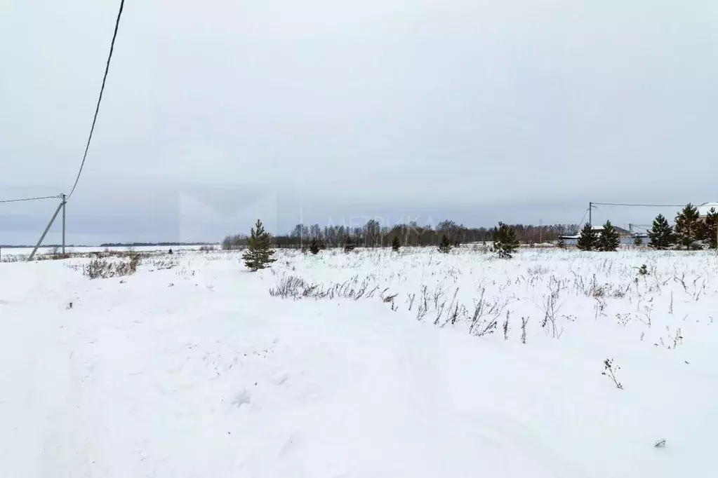 Участок в Тюменская область, Тюмень  (10.0 сот.) - Фото 1
