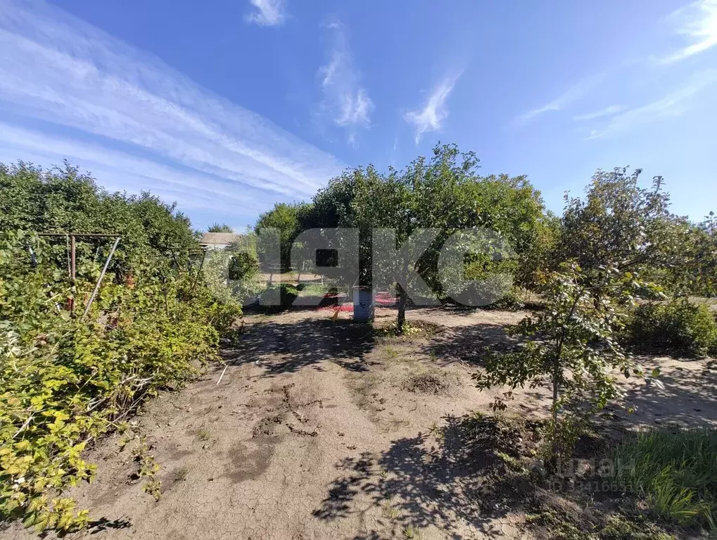 Участок в Волгоградская область, Волгоград Динамо СНТ, ул. 14-я (6.0 ... - Фото 1