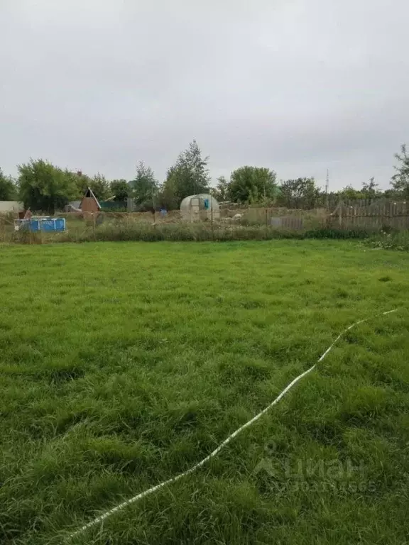 Участок в Новосибирская область, Новосибирский район, Толмачевский ... - Фото 0