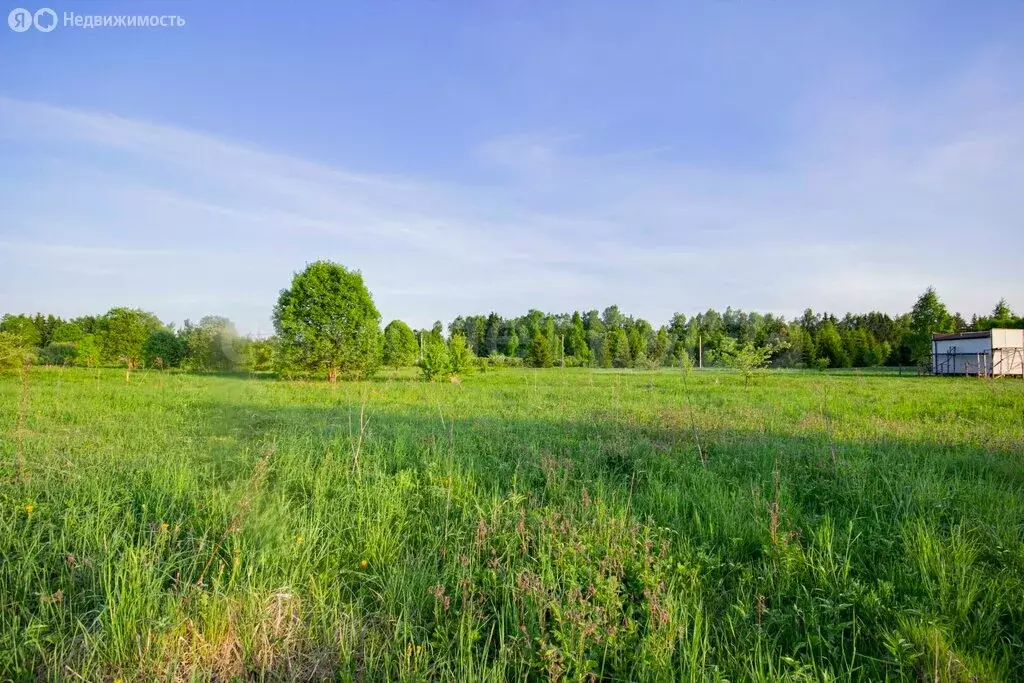 Участок в Наро-Фоминский городской округ, деревня Монаково (15 м) - Фото 2