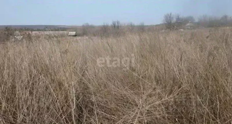 Участок в Воронежская область, с. Новая Усмань ул. Весенняя, 31/1 ... - Фото 1