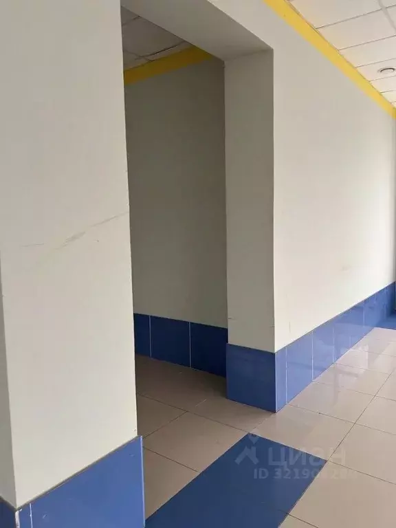 Помещение свободного назначения в Белгородская область, Белгород ул. ... - Фото 1