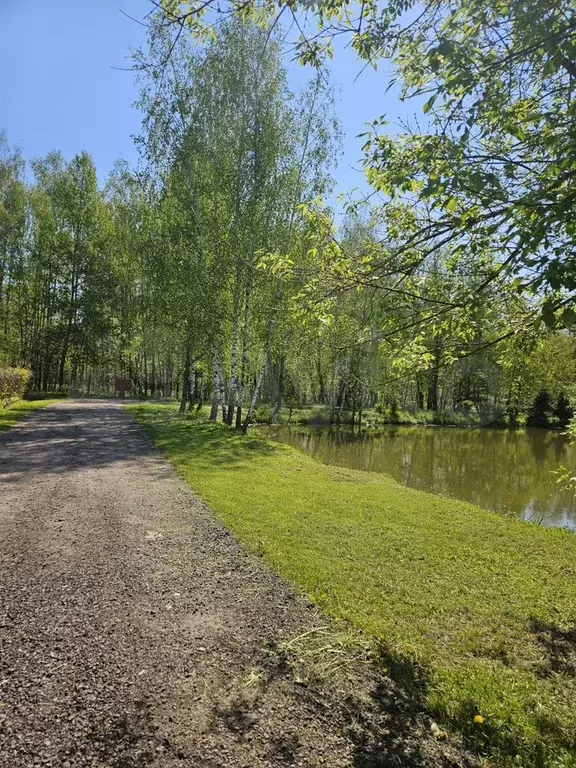 Участок 6 сот. (СНТ, ДНП) - Фото 1