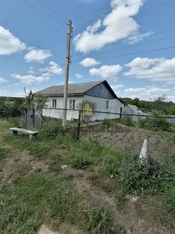 Село Новоберезово Рязанской Области Сасовского Района Фото