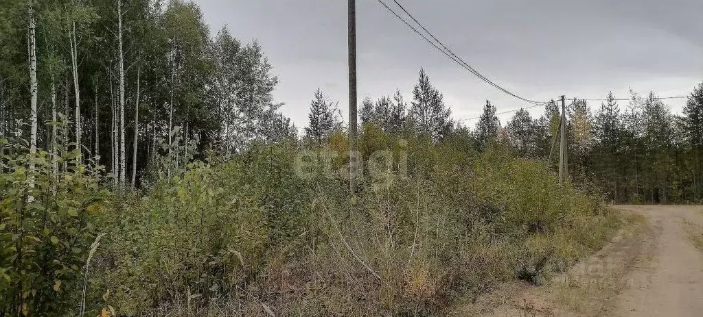 Участок в Коми, Сыктывкар городской округ, Верхняя Максаковка пгт 3-я ... - Фото 1