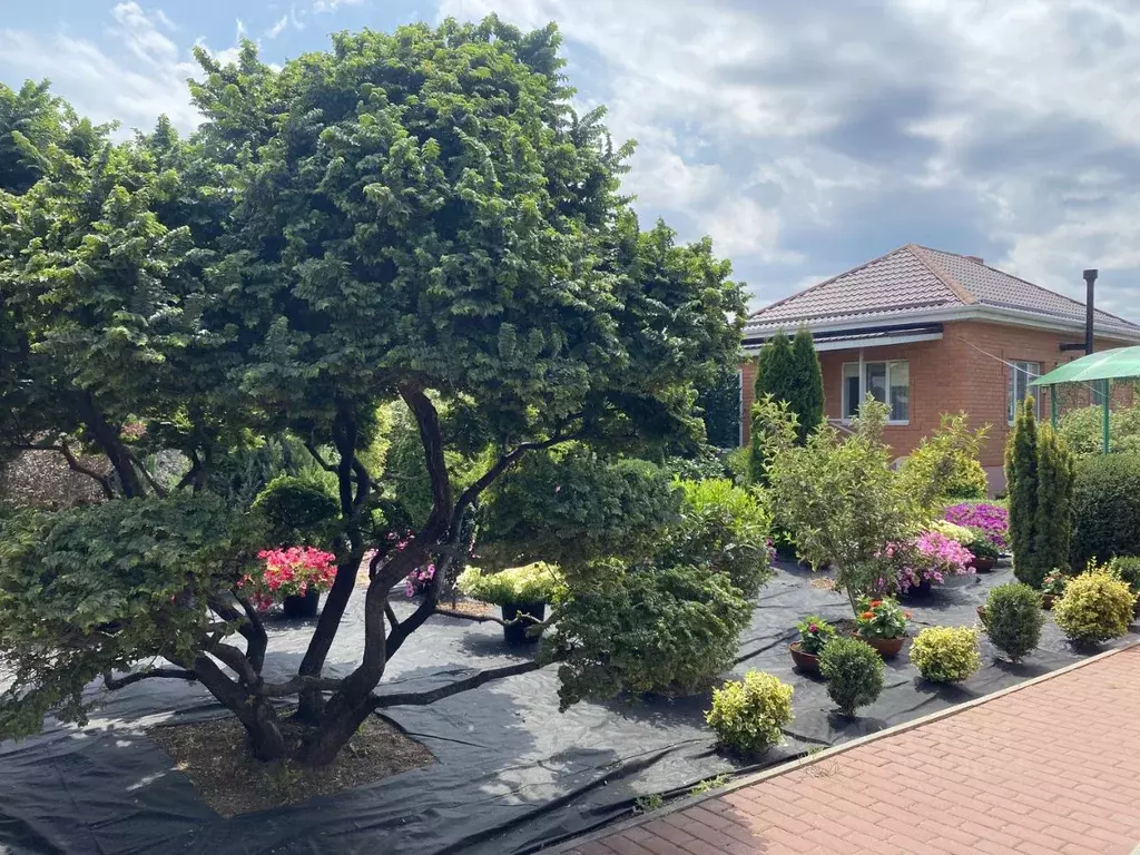 Дом в Ростовская область, Волгодонск Братская ул., 29 (42 м) - Фото 1