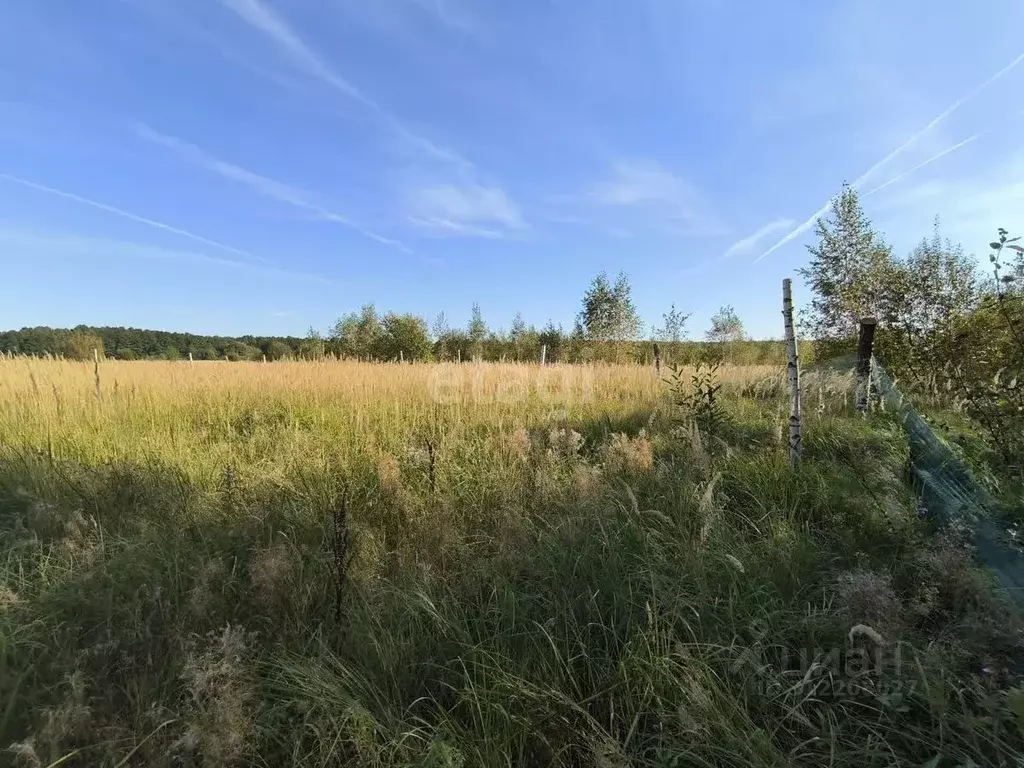 Участок в Московская область, Коломна городской округ, д. Шапкино  ... - Фото 0