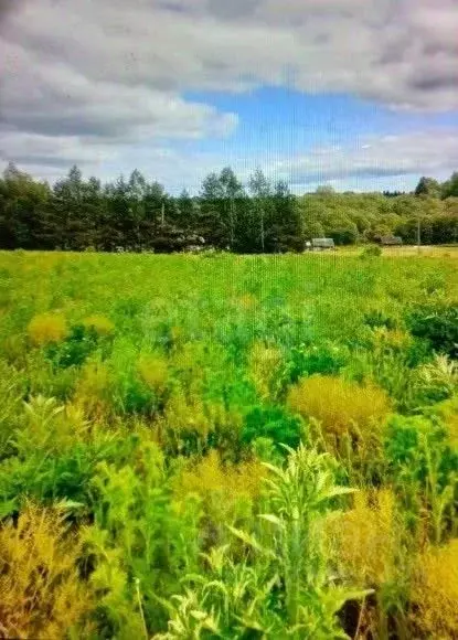 Участок в Вологодская область, пос. Заря  (14.0 сот.) - Фото 1