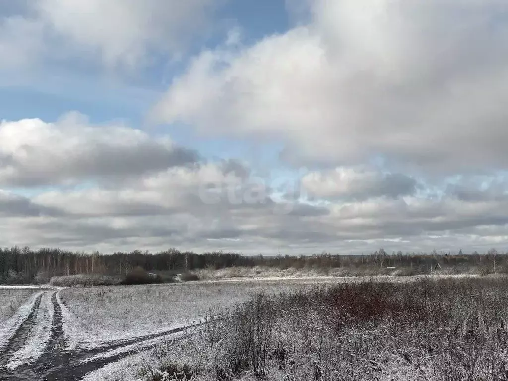 Участок в Мордовия, Саранск Буревестник садоводческое товарищество,  ... - Фото 1