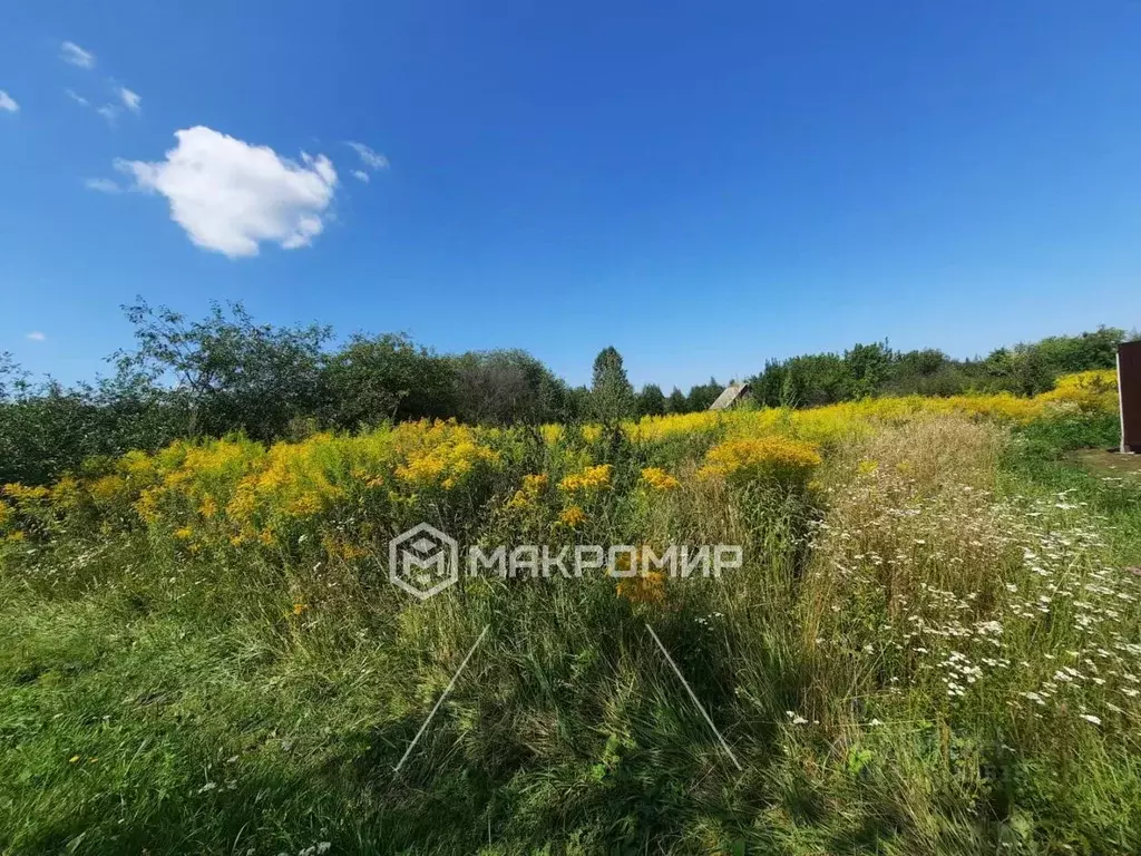 Участок в Брянская область, Брянский район, Снежское с/пос, с. ... - Фото 2